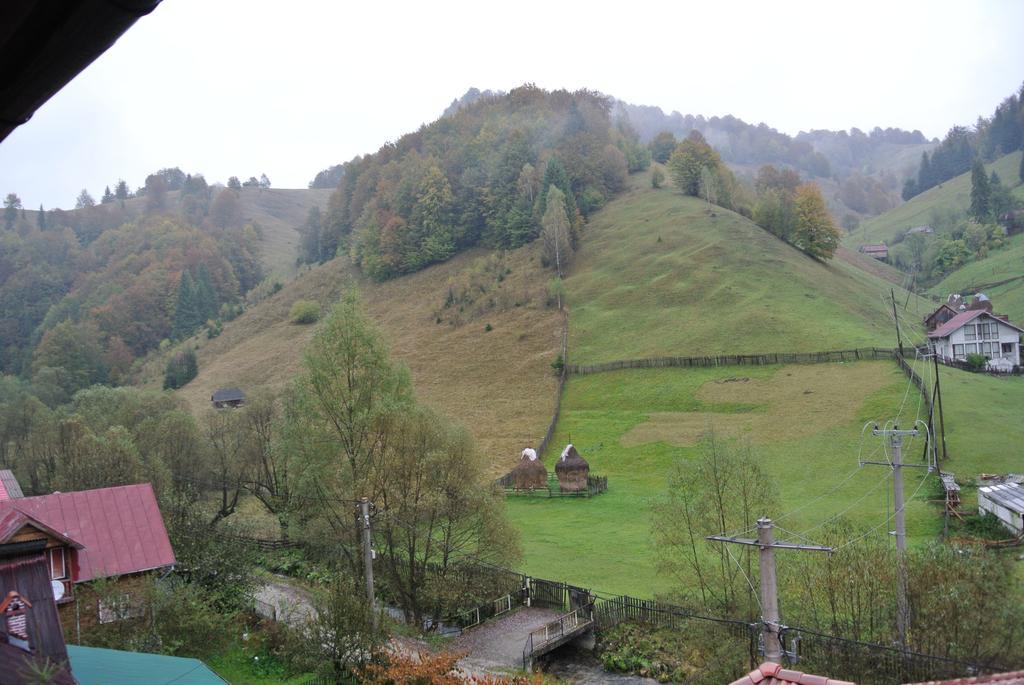 Pensiune Restaurant Piatra Craiului Dîmbovicioara Exterior foto